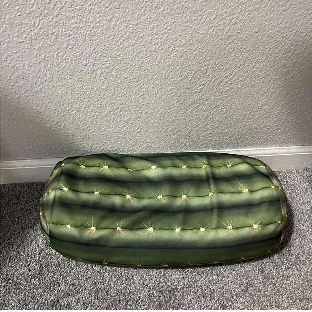 Cactus Pillow